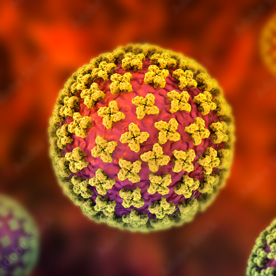 Hantavirus HFRS (HFRS) token icon