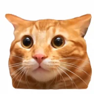 hi (HI) token icon