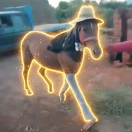 Horse In Pants (HIP) token icon