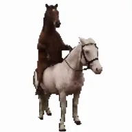 horse on horse (HOH) token icon