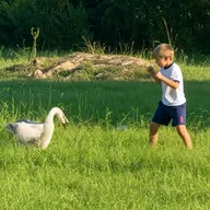 The Goose Killer (HOLT) token icon