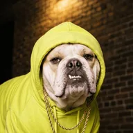 Hoodie (HOODIE) token icon