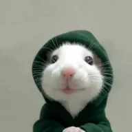 hoodrat (HOODRAT) token icon