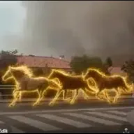 The Heraclitean Horses (HORSES) token icon