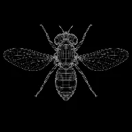 hoverfly (HOVERFLY) token icon