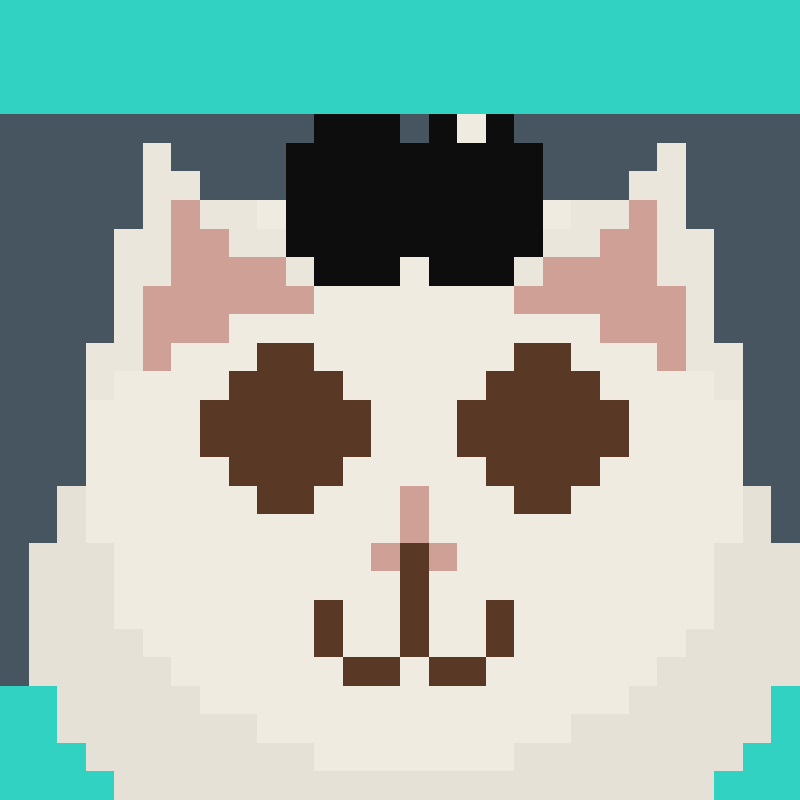 Huhcat (HUHCAT) token icon