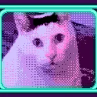 Huhcat (HUHCAT) token icon