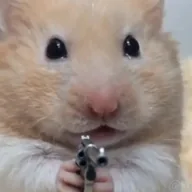 hamster wif gun (HWG) token icon