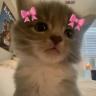 iiii lovvv yuuuu (ILY) token icon