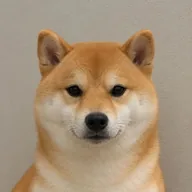 Shiba Inu (INU) token icon