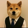 Dog in Vest (INVEST) token icon