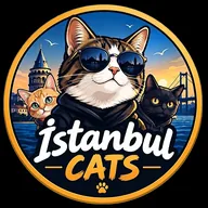 ISTANBUL CATS (CATS) token icon