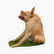 ivyvibing (IVY) token icon