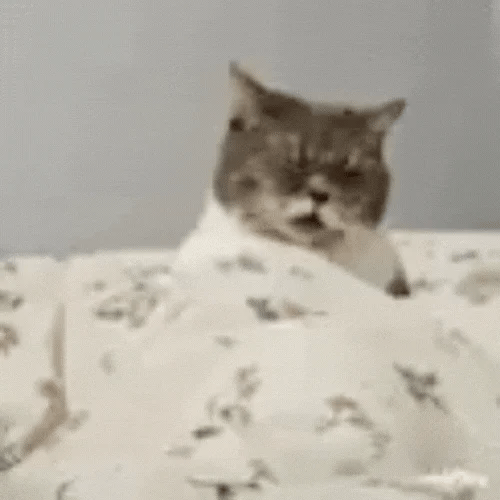 Jerking cat (JCAT) token icon
