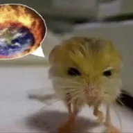 Jerboa (JERBOA) token icon