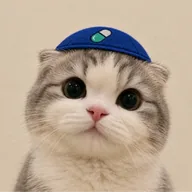 Jewcat (JEWCAT) token icon