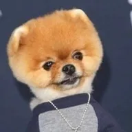 Jiffpom (JIFFPOM) token icon