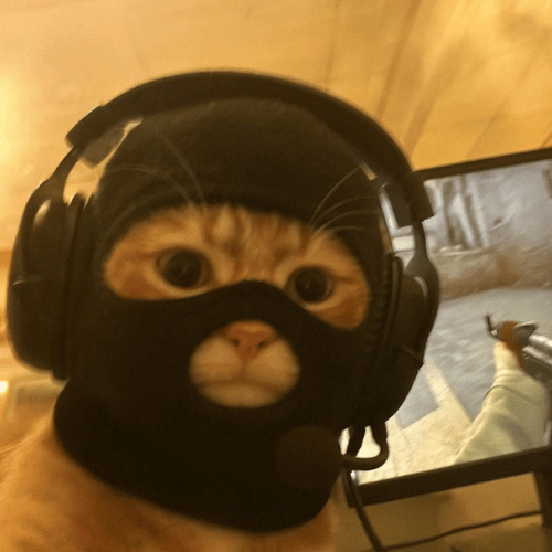 catwifmask real name (JIMY) token icon