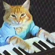 Keyboard Cat (Base) (KEYCAT) token icon