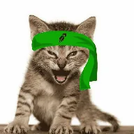 Roaring Kitty (KITTY) token icon