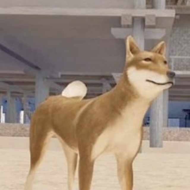 Komaki (KOMAKI) token icon