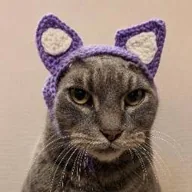 CatWifEars (LADY) token icon