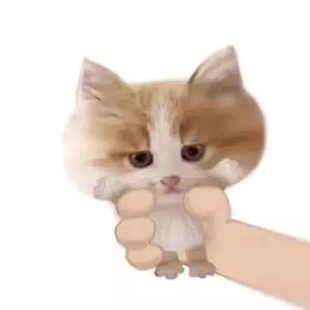 老子 | Laozi (LAOZI) token icon