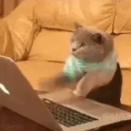 Laptop Cat (LAPTOPCAT) token icon