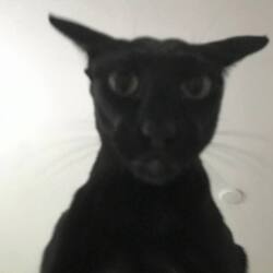Evil Larry (LARRY) token icon