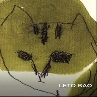 字节股神 (LETO) token icon