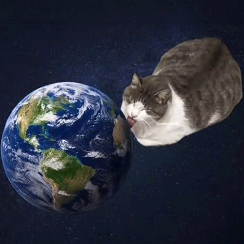 world licking cat (LICKINGCAT) token icon