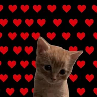 Like Cat (LIKECAT) token icon