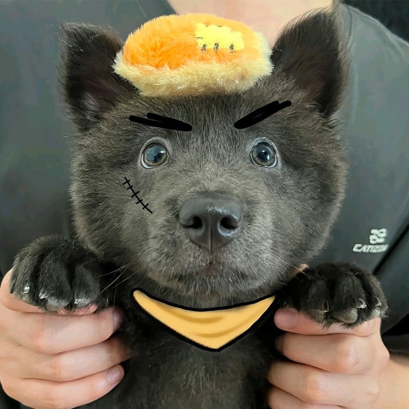 溜溜 (LIULIU) token icon