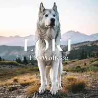 Loki the Wolfdog (LOKI) token icon