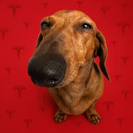LONGDOG (LONGDOG) token icon