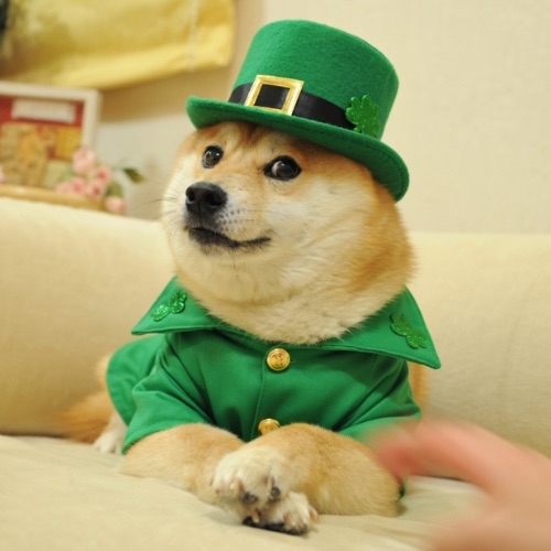 Lucky Doge (LUCKYDOGE) token icon
