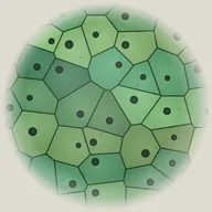 mitosis (M0) token icon