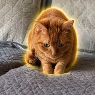 I Escaped Fauci (MARIGOLD) token icon