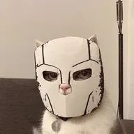 Mask Cat (MASKCAT) token icon