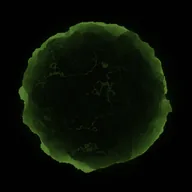 the maw (MAW) token icon