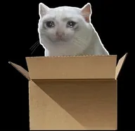 Schrodinger's Coin (MAYBE) token icon