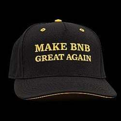 MAKE BNB GREAT AGAIN (MBGA) token icon
