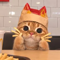 McCat (MCCAT) token icon