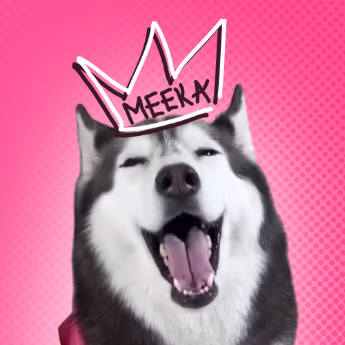 Meeka The Husky (MEEKA) token icon