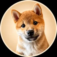 MEEKO (MEEKO) token icon
