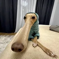 Melman The Dooog (MELMAN) token icon