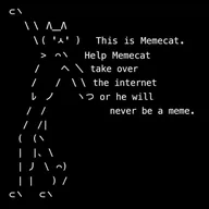 memecat (MEMECAT) token icon