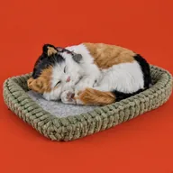 The Reddit Cat (MEOWDANI) token icon