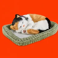 The Bodega Cat (MEOWDANI) token icon
