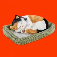 The Bodega Cat (MEOWDANI) token icon
